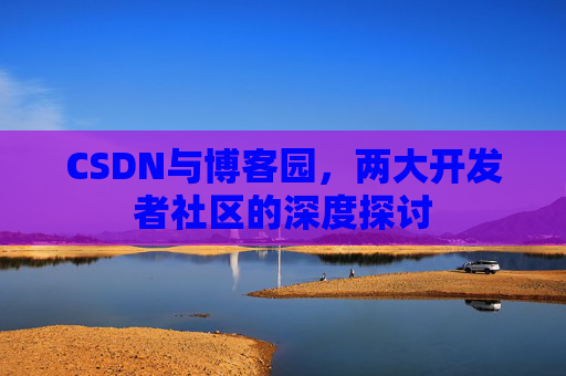CSDN与博客园，两大开发者社区的深度探讨